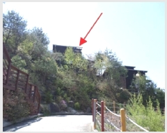  2025Ÿ��20570  �ܵ�(ȣ��)���