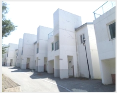  2025Ÿ��20570  �ܵ�(ȣ��)���