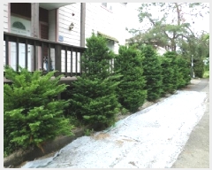  2025Ÿ��20626 ���� ���ֽ� ���ʸ� ��縮 157-28      ���ð��