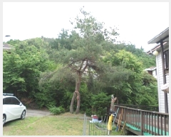  2025Ÿ��20626 ���� ���ֽ� ���ʸ� ��縮 157-28      ���ð��