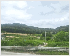  2025Ÿ��20636  ����