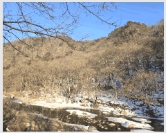  2025Ÿ268  Ⱦ  а 18-1      (Ӿ)