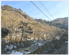  2025Ÿ268  Ⱦ  а 18-1      (Ӿ)