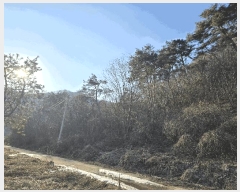  2025Ÿ268  Ⱦ  а 18-1      (Ӿ)