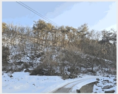  2025Ÿ268  Ⱦ  а 18-1      (Ӿ)