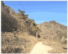  2025Ÿ268  Ⱦ  а 18-1      (Ӿ)