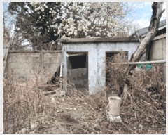  2025Ÿ��312  ���ð��