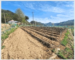  2025Ÿ��381 ���� ���ֽ� �Ÿ��� ��ϸ� 593-1      ����(��1)���