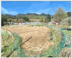  2025Ÿ��381 ���� ���ֽ� �Ÿ��� ��ϸ� 593-1      ����(��1)���