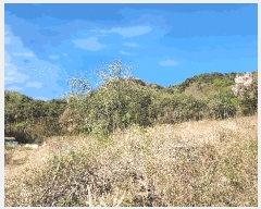  2025Ÿ��381 ���� ���ֽ� �Ÿ��� ��ϸ� 593-1      ����(��1)���