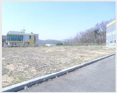  2025Ÿ��459 ���� Ⱦ���� ��õ�� ���ָ� 715      ������