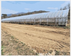  2025Ÿ��633  �����