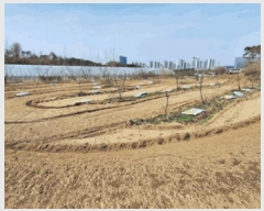  2025Ÿ��633  �����