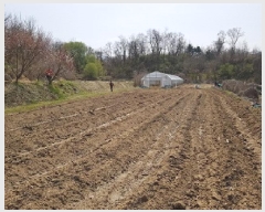  2025Ÿ��633  �����