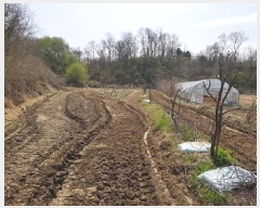  2025Ÿ��633  �����