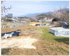  2025Ÿ��633  �����