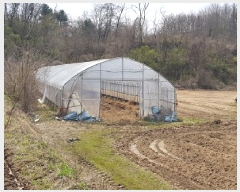  2025Ÿ��633  �����