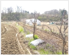  2025Ÿ��633  �����