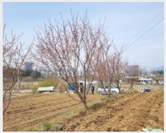  2025Ÿ��633  �����