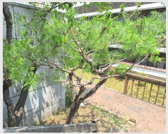  2025Ÿ��763 ���� ���ֽ� �ϻ굿 287-13       ���ð��