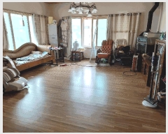  2025Ÿ��763 ���� ���ֽ� �ϻ굿 287-13       ���ð��