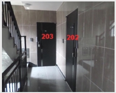  2025Ÿ��1049 ���� ���ֽ� ������ �ǵ 1714-9      ���ð��