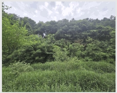  2025Ÿ��1087 ���� ���ֽ� �Ÿ��� ���и� 357      ����(��1)���