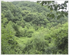  2025Ÿ��1087 ���� ���ֽ� �Ÿ��� ���и� 357      ����(��1)���