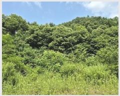  2025Ÿ��1087 ���� ���ֽ� �Ÿ��� ���и� 357      ����(��1)���