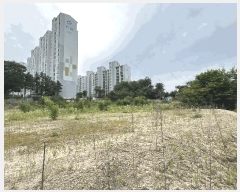  2025Ÿ��1186  �������