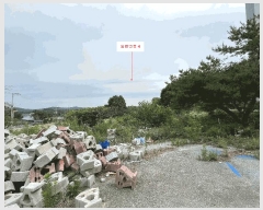  2025Ÿ��1186  �������