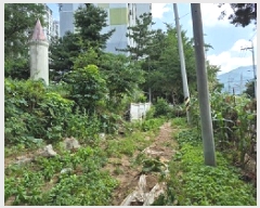  2025Ÿ��1186  �������