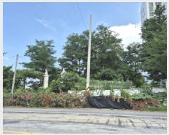  2025Ÿ��1186  �������