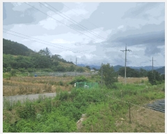  2025Ÿ��1261 ���� Ⱦ���� ������ ������ 1465-1      ����(��1)���