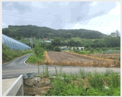  2025Ÿ��1261 ���� Ⱦ���� ������ ������ 1465-1      ����(��1)���