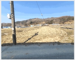  2025Ÿ��20088  ����