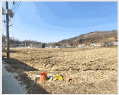  2025Ÿ��20088  ����