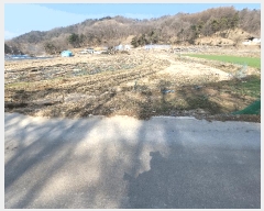  2025Ÿ��20088  ����