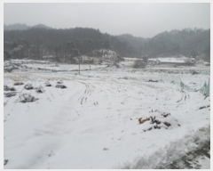  2025Ÿ��20088  ����