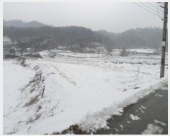  2025Ÿ��20088  ����