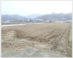  2025Ÿ��20187  ����