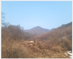  2025Ÿ��20224 ���� Ⱦ���� û�ϸ� ������ ��28-2      ����(�Ӿ�)���