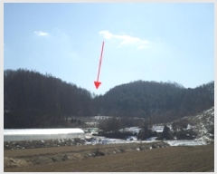  2025Ÿ20392  ֽ  ۸ 453      ()