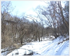  2025Ÿ20392  ֽ  ۸ 453      ()