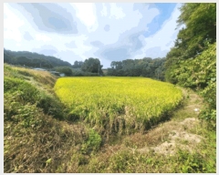  2025Ÿ��20457  ����