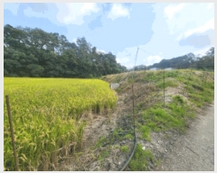  2025Ÿ��20457  ����