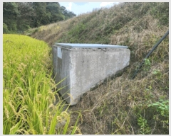  2025Ÿ��20457  ����