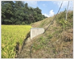  2025Ÿ��20457  ����