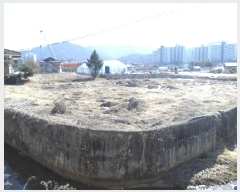  2025Ÿ��20461  �����