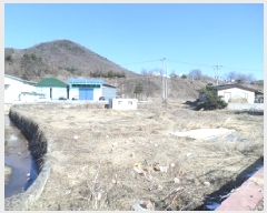  2025Ÿ��20461  �����